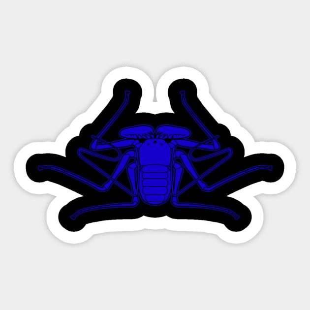 Amblypygi Sticker by ProcyonidaeCreative